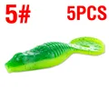 Color 5