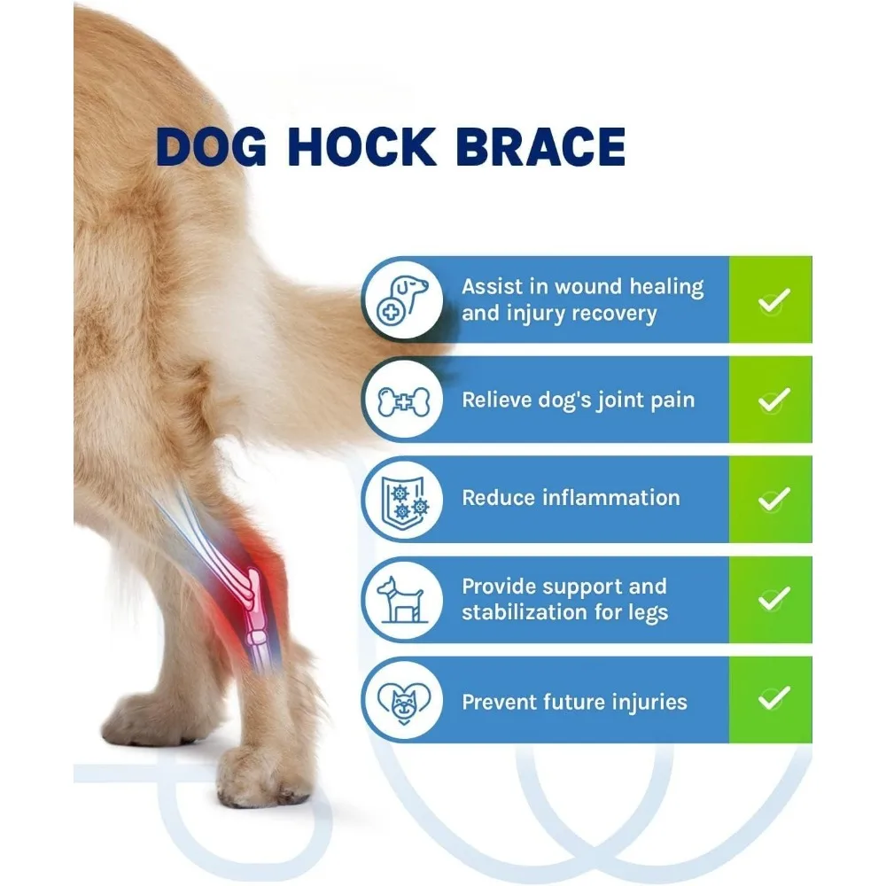 Dog Leg Brace for Rear Hock & Ankle, Canine Hind Leg Joint Compression Wrap for Puppy Torn ACL & CCL, Ankle Knee Injury Recovery