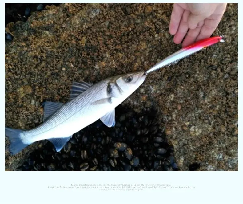 Kingdom Floating Minnow Angelköder, 12 cm, 14,5 g, 14,3 cm, 19 g, salzwasserharter Köder, künstliche Wobbler-Köder, Angelgerät – Detail 6
