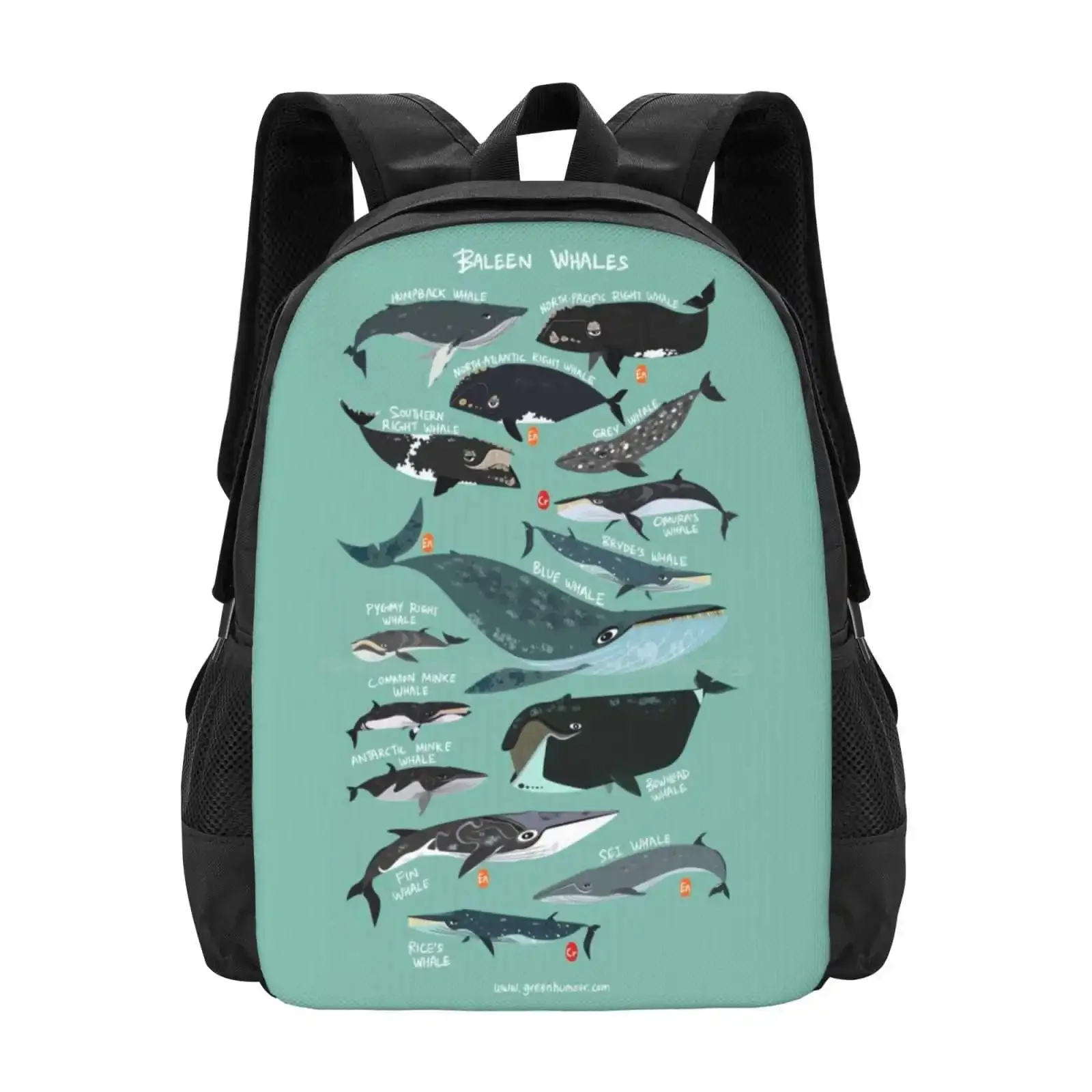 

Барелия Киты Узор Дизайн Ноутбук Путешествия Школьные Сумки Баштаб Милый Забавный Юмор Дикая Природа Природа Наука Зоология Виды