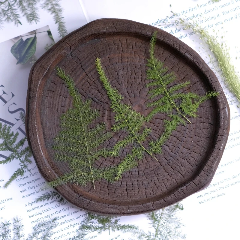 Marcapáginas de resina DIY de flores secas de helecho de espárragos prensados, marcos de fotos de plantas, tarjetas de felicitación y manualidades de flores prensadas, arte de resina, 12 Uds.