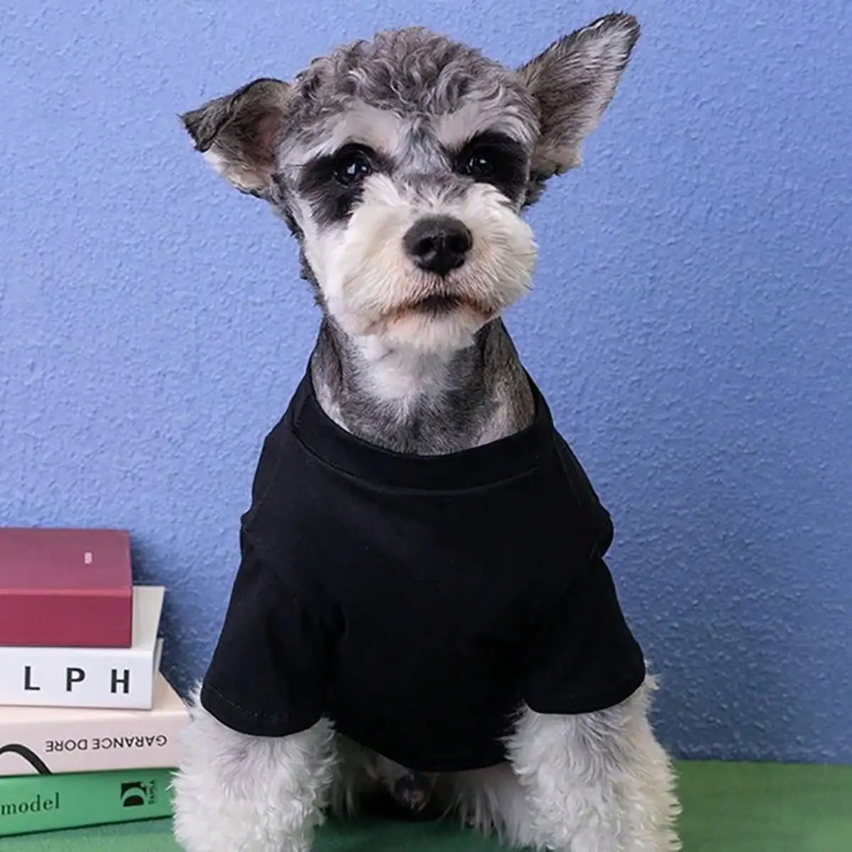 1pc Pet Short Sleeve T-Shirt With Dog Paw Print & "Love" Lettering, Suitable For Poodle, Bichon Frise, Teddy Dog, Cat view 3