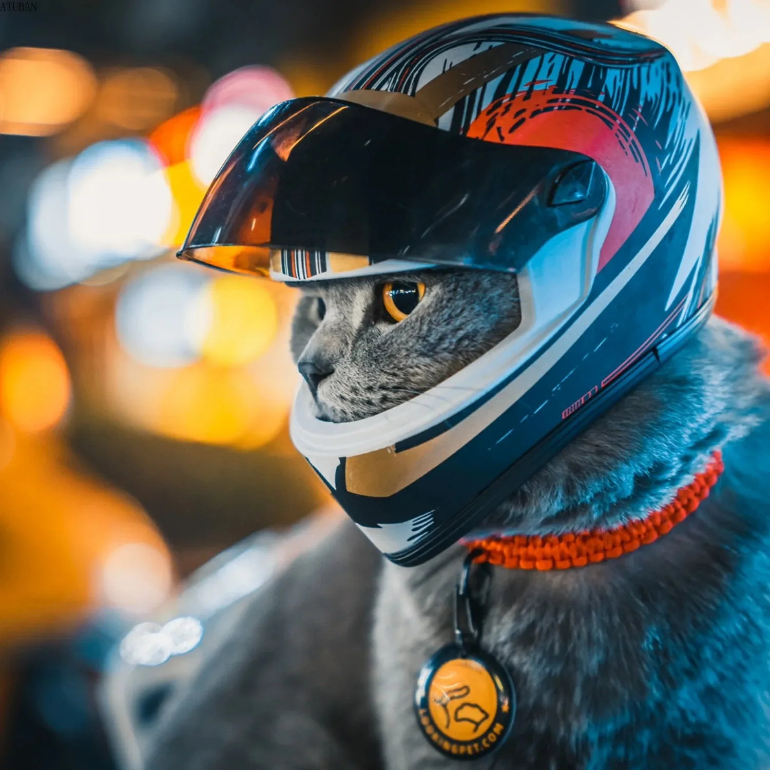 Pet Motorcycle Helmet,Full Face Motorcycle Helmet Outdoor Motorcycle Bike Riding Helmet Hat for Cat Puppy Helmet Pet Supplies