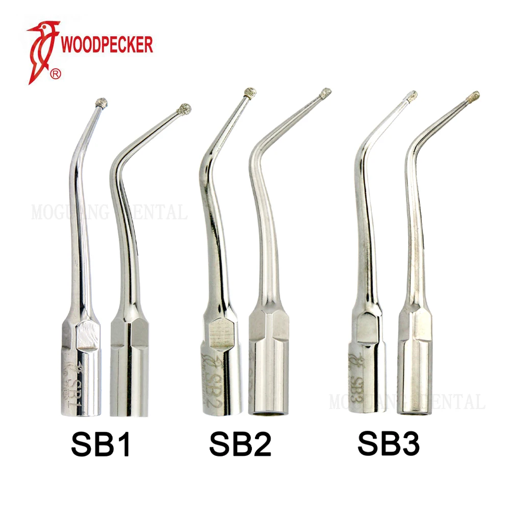 Specht dte Dental Ultraschall Scaler Spitze Zahnmedizin Zubehör Material für Zahnarzt Hohlraum Vorbereitung fit ems satelec nsk