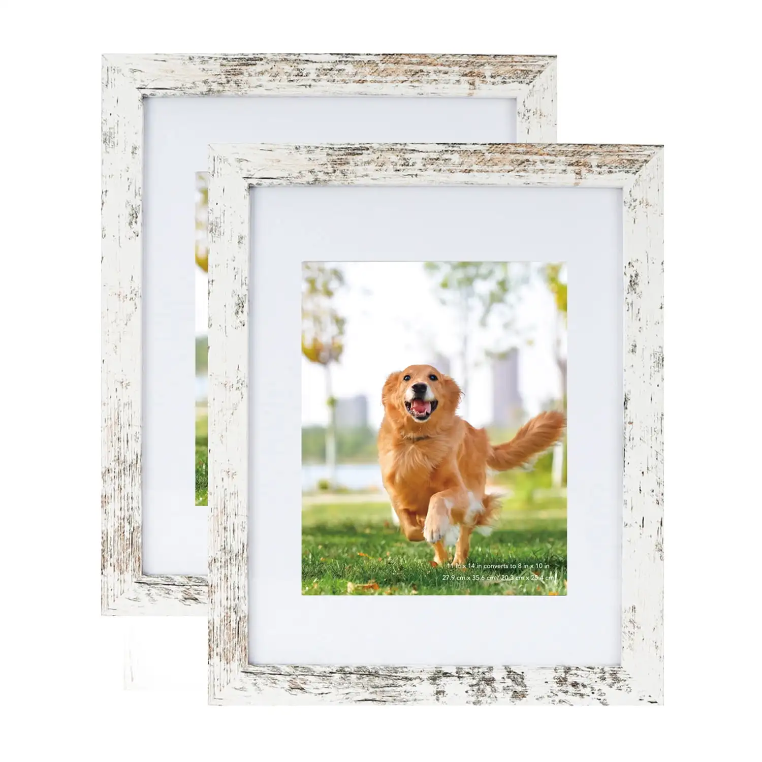 11 X 14 Wood Gallery Picture Frames Set of 2-11x14 Matted To 8x10 Wall Frames White Two Wooded Frames with Slice Nails