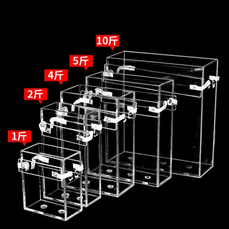 Transparent Acrylic Rice Brick Bag Mold Coarse Grain Packaging Vacuum Bag Forming Box Square Rice Brick Cereal Crop Mold Shaping