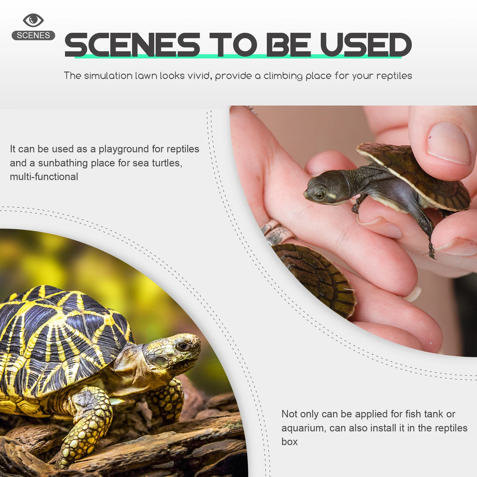 2pcs Turtle Sunning Platform Acrylic Basking Dock For Reptile Tank With Suction Cups Durable Aquarium Decoration Turtle