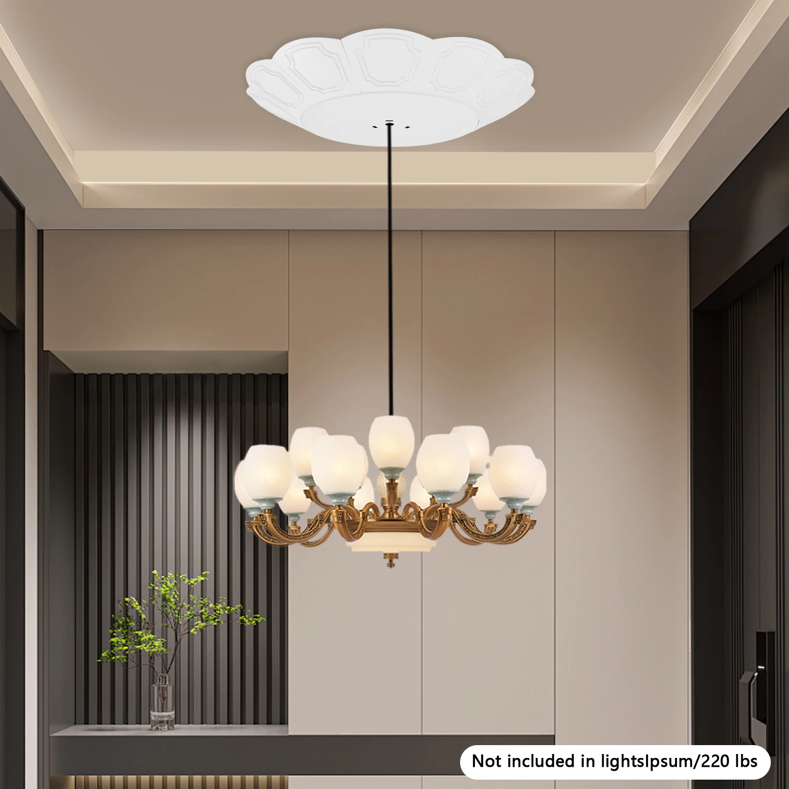 نظام رفع مرفاع الثريا 2 في 1، سعة 100 كجم/220 رطل، رفع ضوء السقف الأبيض الحديث، رافعة مصعد الثريا #2