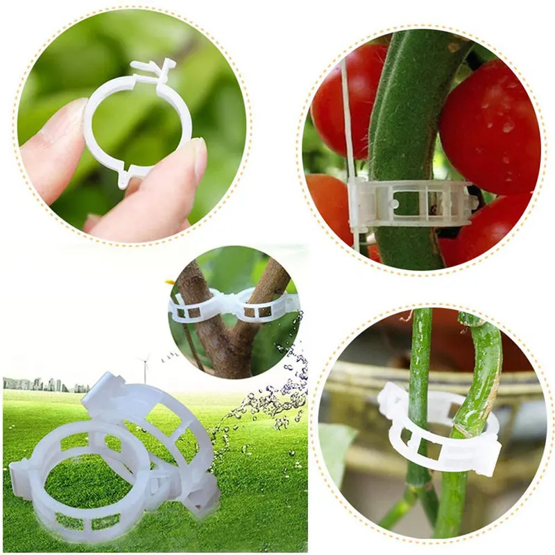 50Pcs Plant Clips Supports Reusable Plastic Connects Fixing Vine Tomato Stem Grafting Vegetable Plants Orchard and Garden Tools