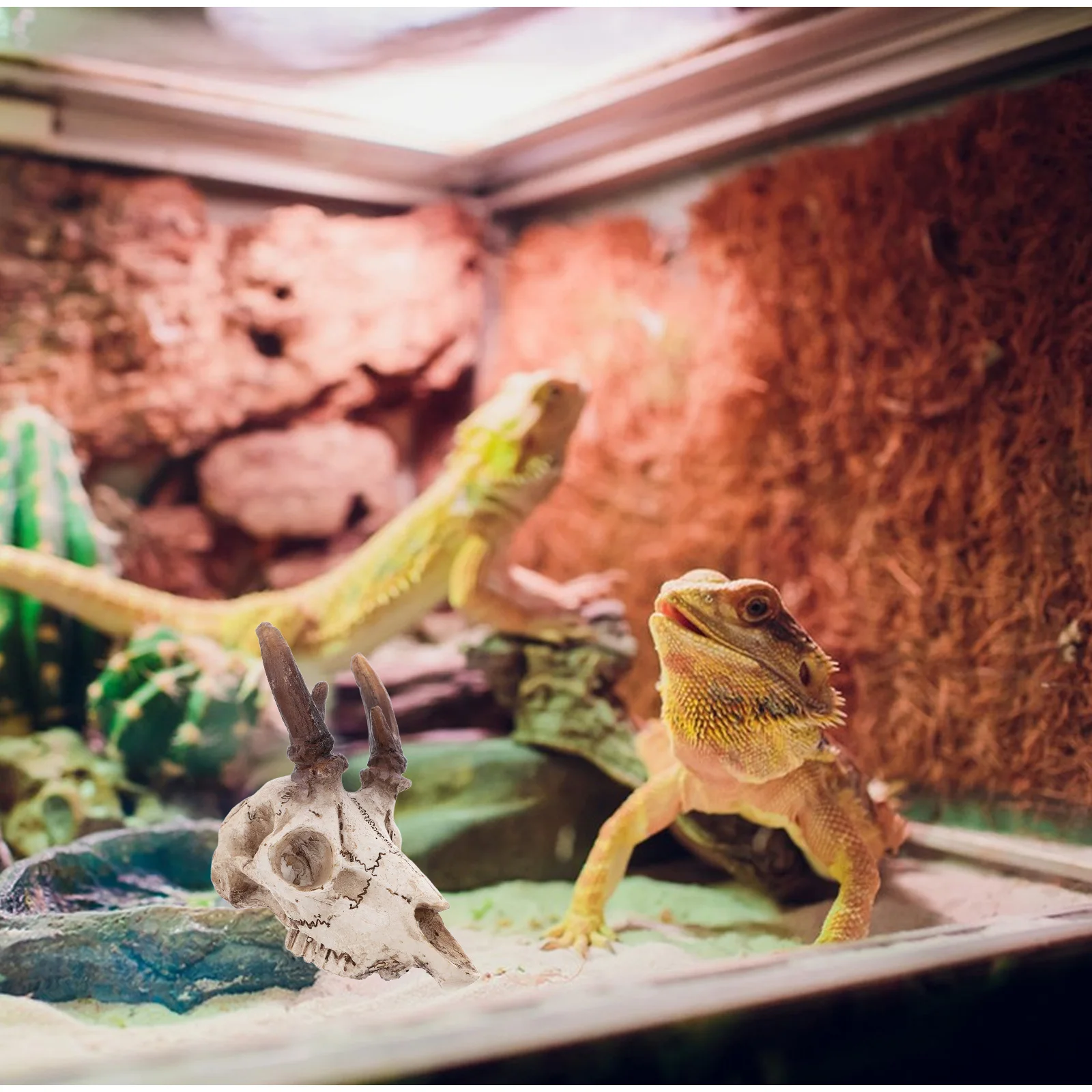 

Elk Skull Ornaments Bearded Dragon Enclosure Aquarium Decor Terrarium Chameleon Cage Accessories Tank Background Hideout Hides