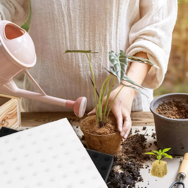 500/100 قطعة المربعات الإسفنج للزراعة المائية المائية الإسفنج أداة زرع المنزلية الدفيئة المائية الإسفنج مربع الإسفنج #4