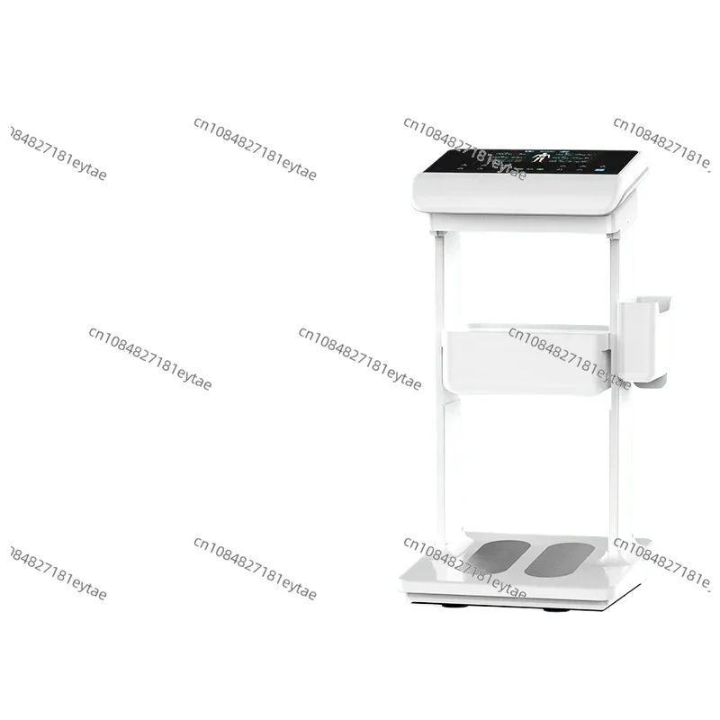 LCD Screen Display Smart Control Multifunctional Therapeutic Full Body Experience Tens Massage Device