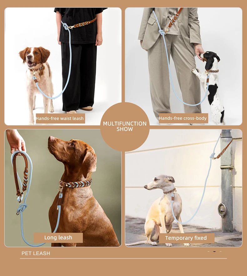 Echtes Lederhalsband für starke und langlebige Welpen, mittelgroße und große Hunde, modisches geflochtenes buntes Nylonseil-Hundehalsband, neu eingetroffen – Detail 6