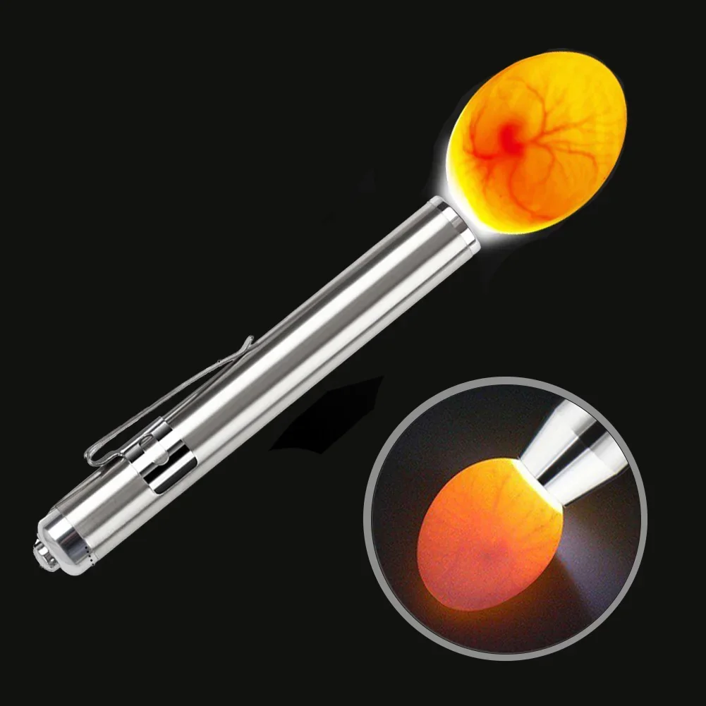 Stainless Steel Egg Flashlight Detector for Chicken Duck LED Incubator Eggtester Cold Light Egg Candling Lamp Hatching Equipment