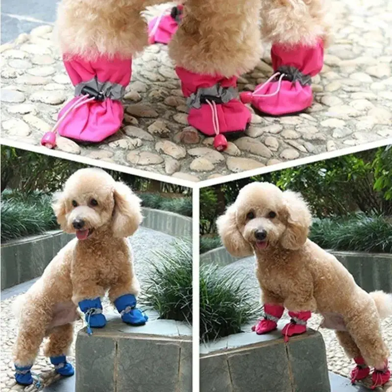 Thumbnail 2 - #16 Puppy Boots Discount Picks