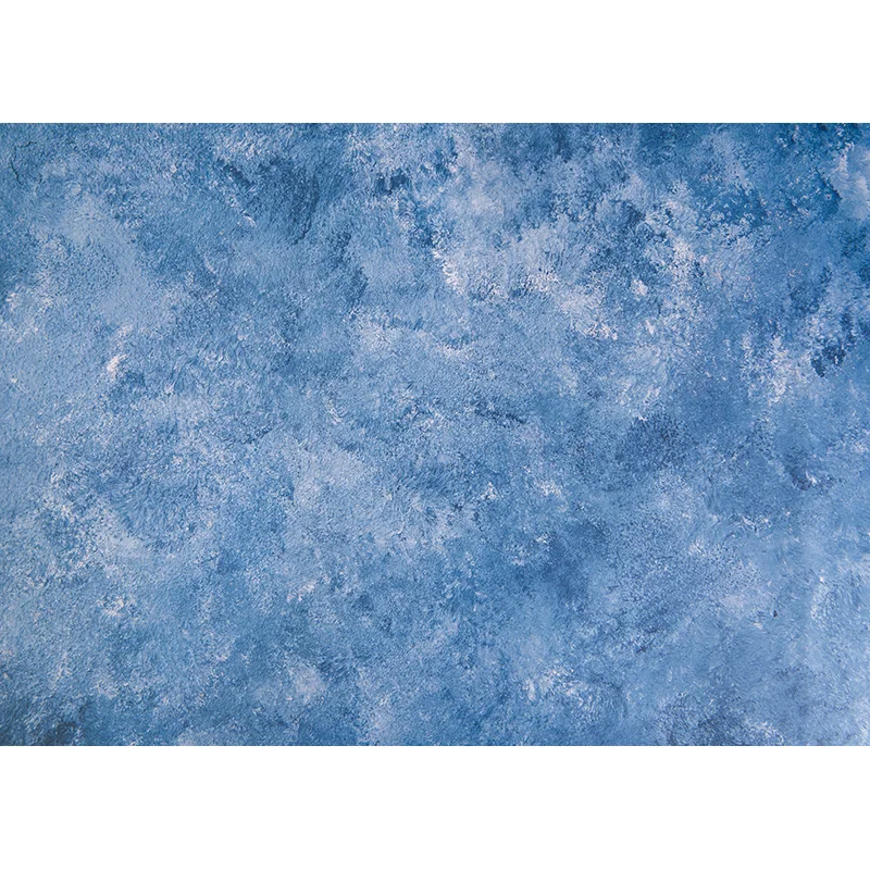 ZHISUXI Vinyl Custom Photography Backdrops Brick Wall and floor Scenery Theme Photo Studio Background 210116 WL-01