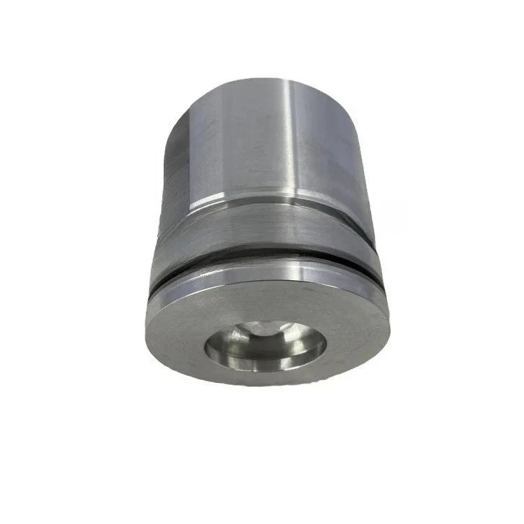 Engine Parts Piston Assembly