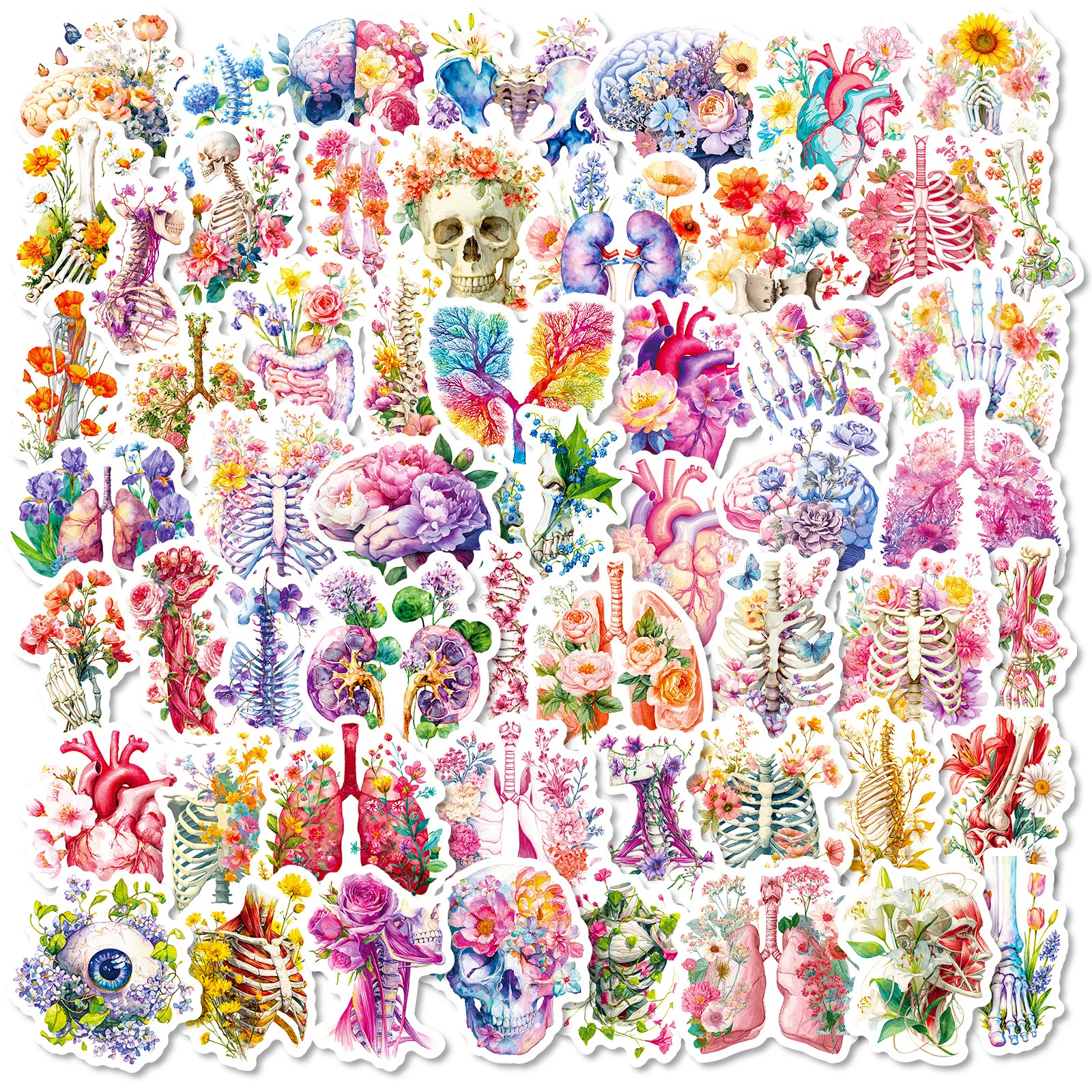 56PCS Human Organ Floral Stickers Medical Student Notebook Stationery Suitcase Skateboard Helmet DIY Decorative Sticker