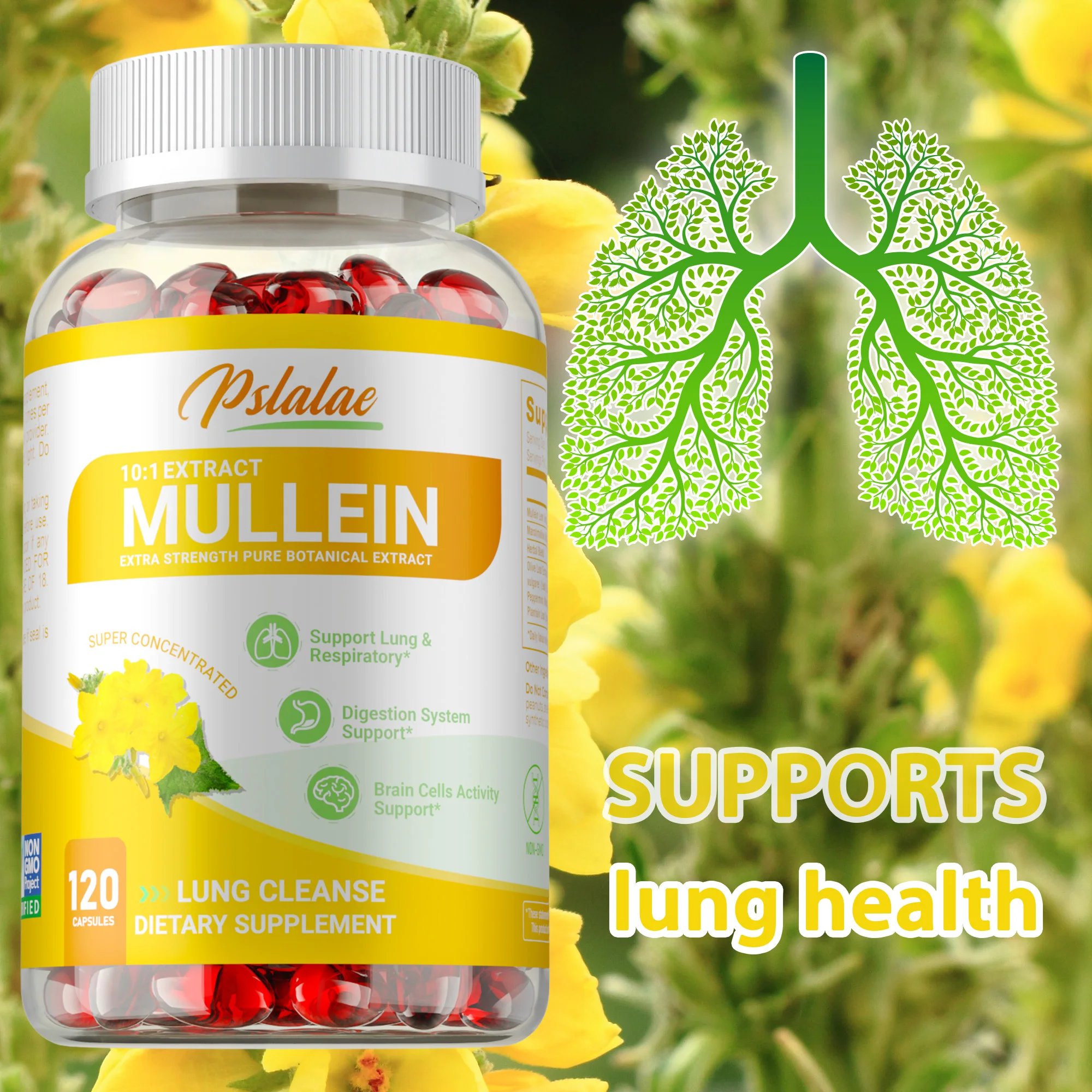 

Mullein Leaf Extract - Natural Lung Cleanse, Improves Digestion, Supports Lung Function & Respiratory Health, Boosts Immunity