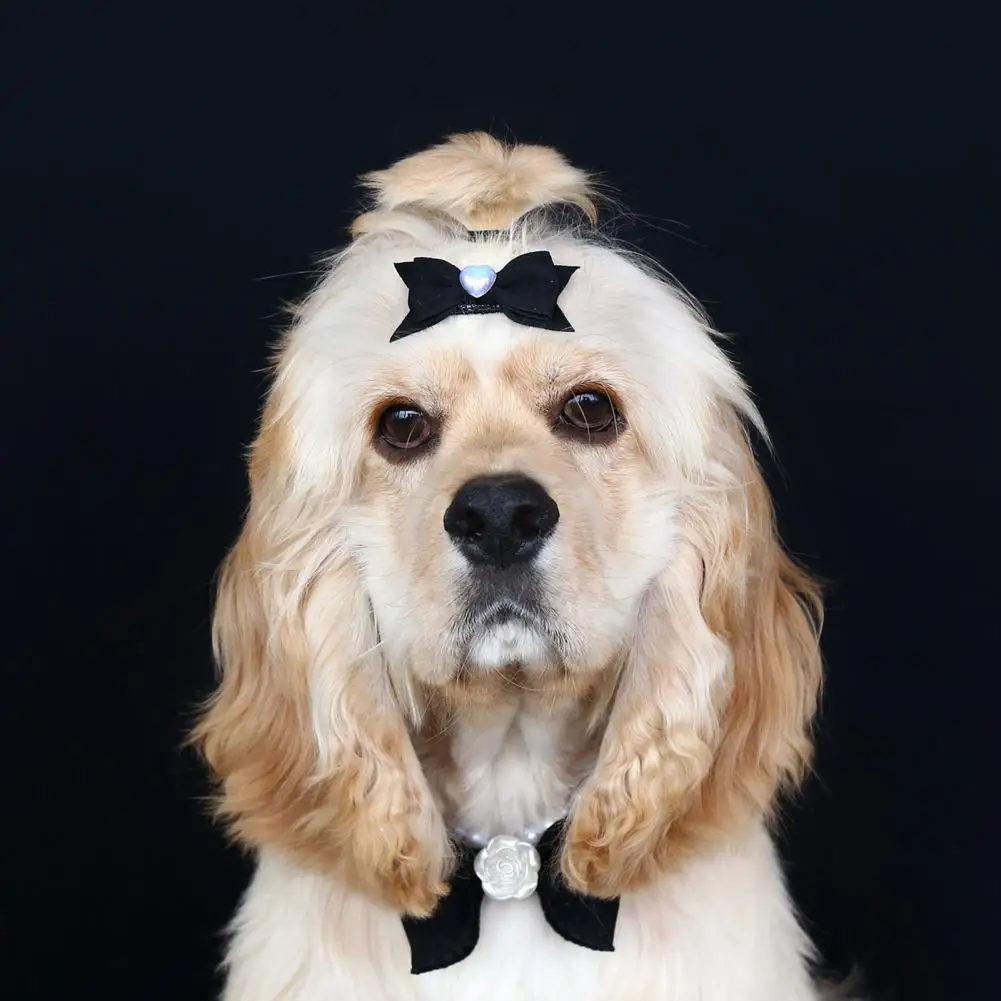 

4Pcs Pet Hair Clip Love Faux Pearl Bow Decoration Small Puppy Cat Hair Clip Pet Hair Accessories For Daily Wear Photos