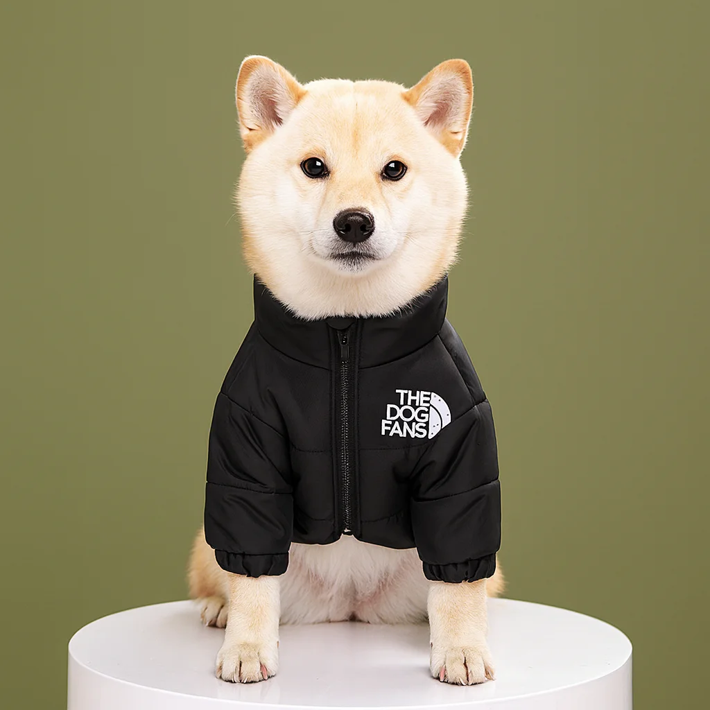 Thumbnail 3 - #10 Trending Puppy Coats Right Now