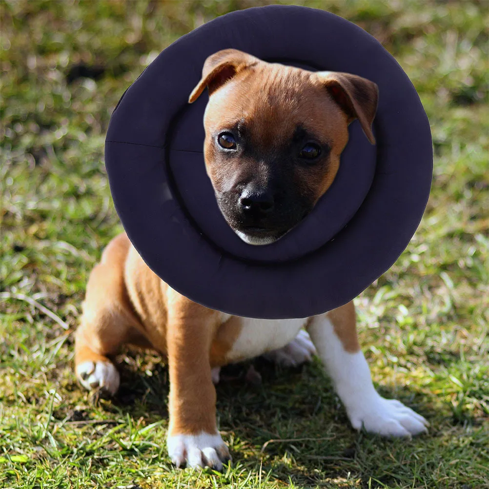 

Waterproof Soft Cone Collar Adjustable For After Surgery Lightweight Dog Neck Cone Ring Protection Pet