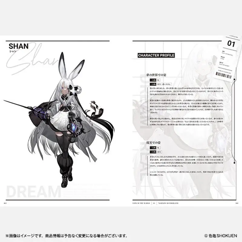 Shikoshio First Art Book View of The World Illustration Collection Japanese Pixiv Popular Artist Original Import