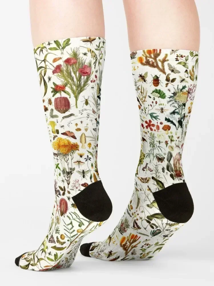 Biology Australia. Socks designer floor Rugby Soccer Socks Woman Men's