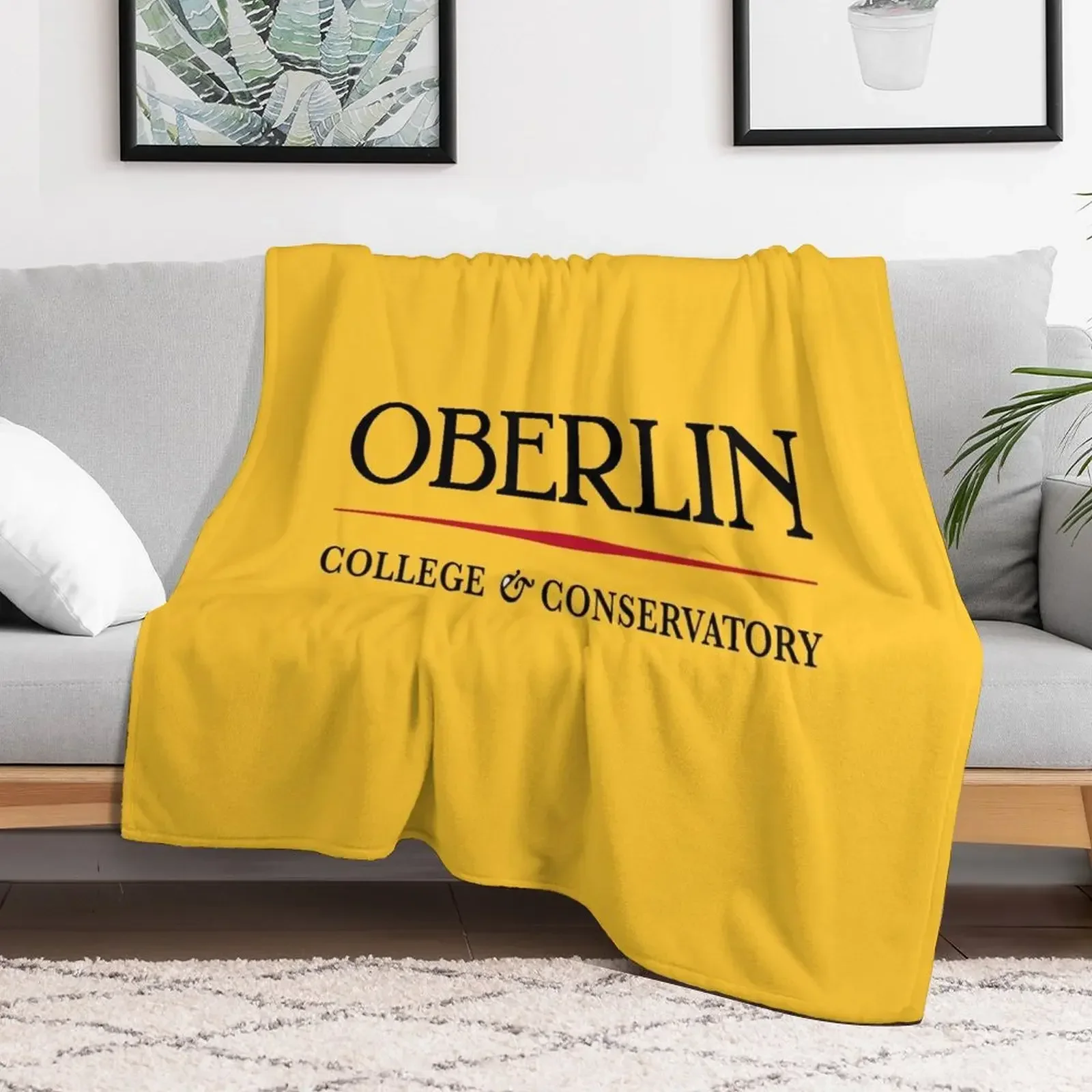 

The Oberlin Throw Blanket Sofas Furry Blankets Blankets For Sofas Winter beds halloween Heavy Blankets