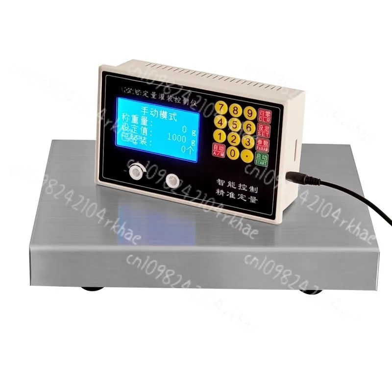 

Two Automatic Weighing Quantitative Controllers, Quantitative Scales, and Two Packaging and Filling Machine Instruments