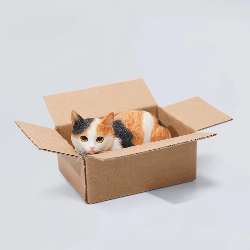 

JXK 1/6 масштаб маленький экспресс-кот ручной работы милый кот модель коробки для 12 дюймов игрушечные фигурки скульптура аксессуар кукла подарок