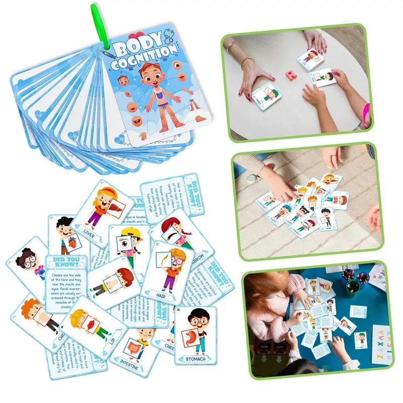 Body Awareness Cards For Kids 36X Body Parts Teaching Materials Fun Cognitive Education Card Kids Reading Cards 3 Years Old