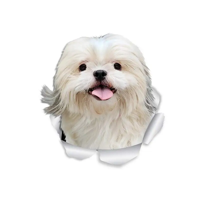 M463 Wurst Hund Rottweiler Hund Yorkshire Terrier Hund PVC Haushalt Dekoration Wand Aufkleber Toilette Aufkleber – Detail 13