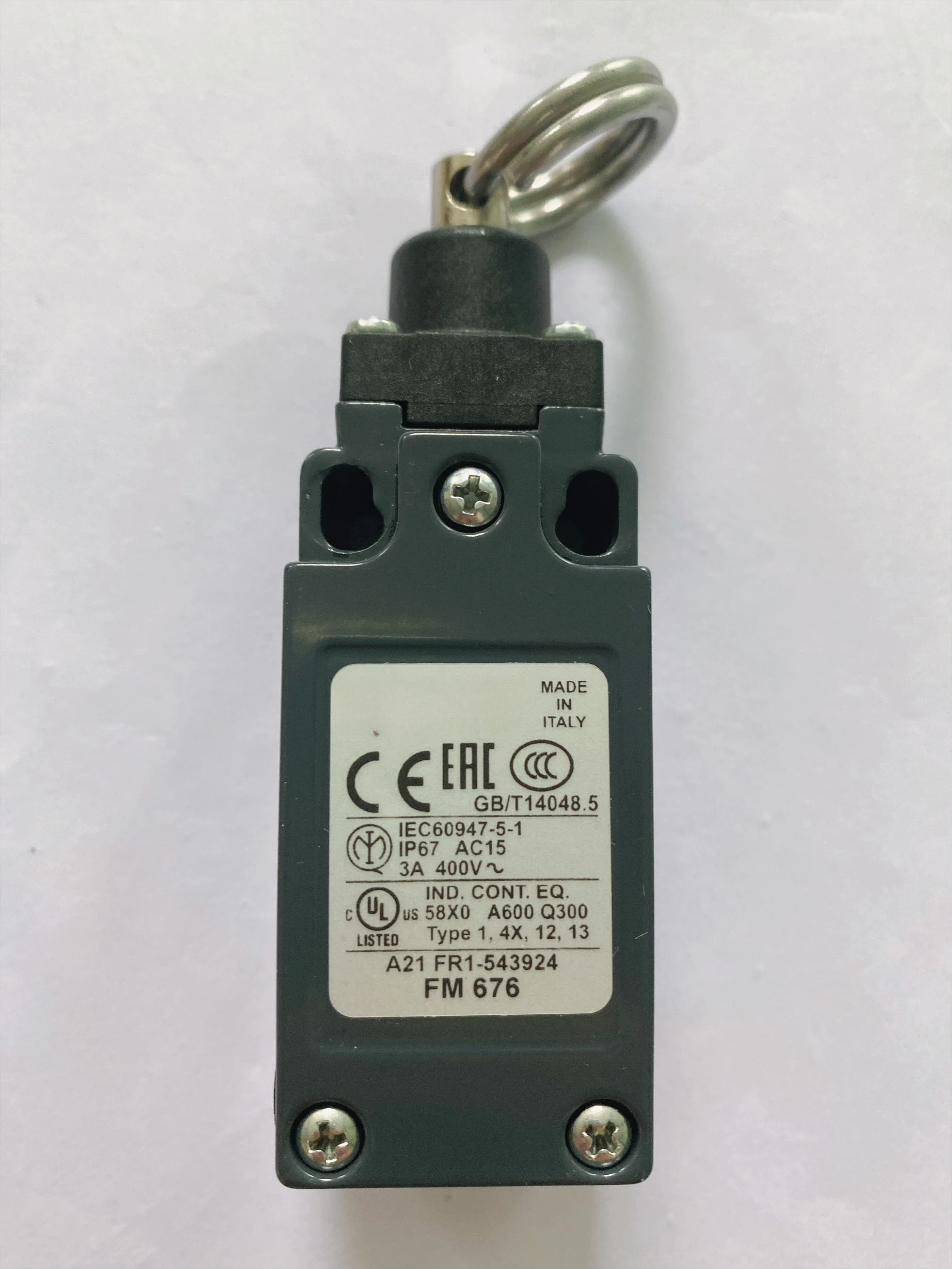 

Brand New Original Imported Drawstring Switch FM676