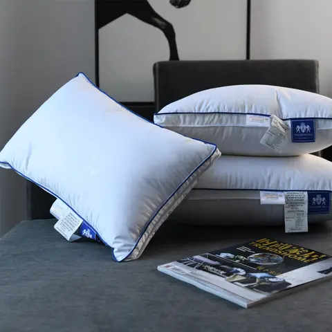 Down Pillow 100% Goose Down Feather Household Goose Down Pillow Single Size Five-Star Hotel Pillow Core To Help Sleep Pillow