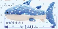 Whale Shark