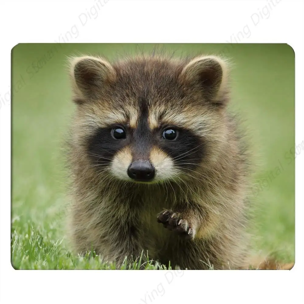 

Raccoon Gaming Mouse Pad Raccoon Animal Mouse Pad Computer Desk Laptop Office Mouse Pad Non Slip Rubber 18*22cm