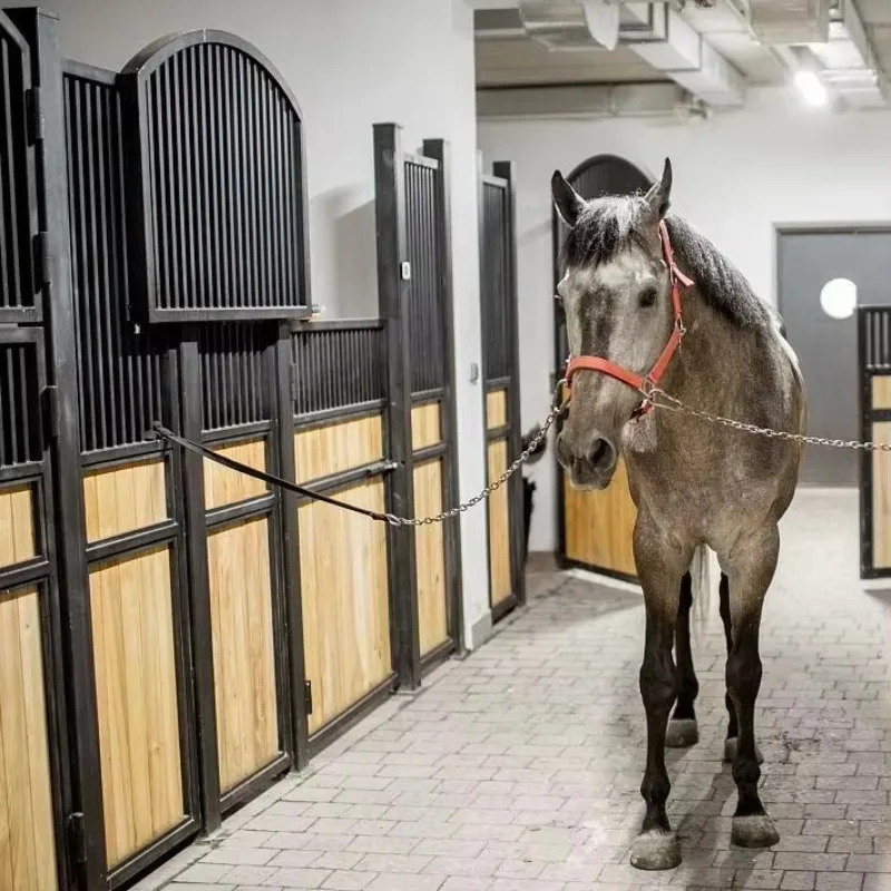 Customization Best Priced Stables Cheap Good Quality, Many Regular Customers always Well Received in Overseas Markets Stable Hor