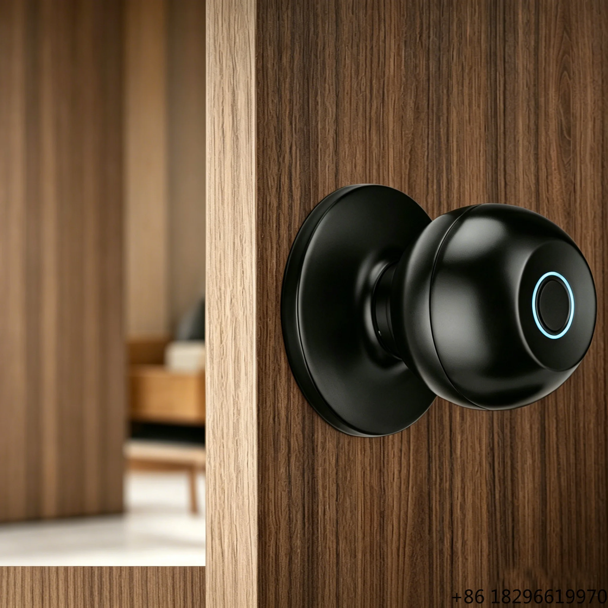 Smart Biometric Fingerprint Door Knob Lock Keyless Entry Matte Black Electronic Ball Lock for Bedroom Apartment.