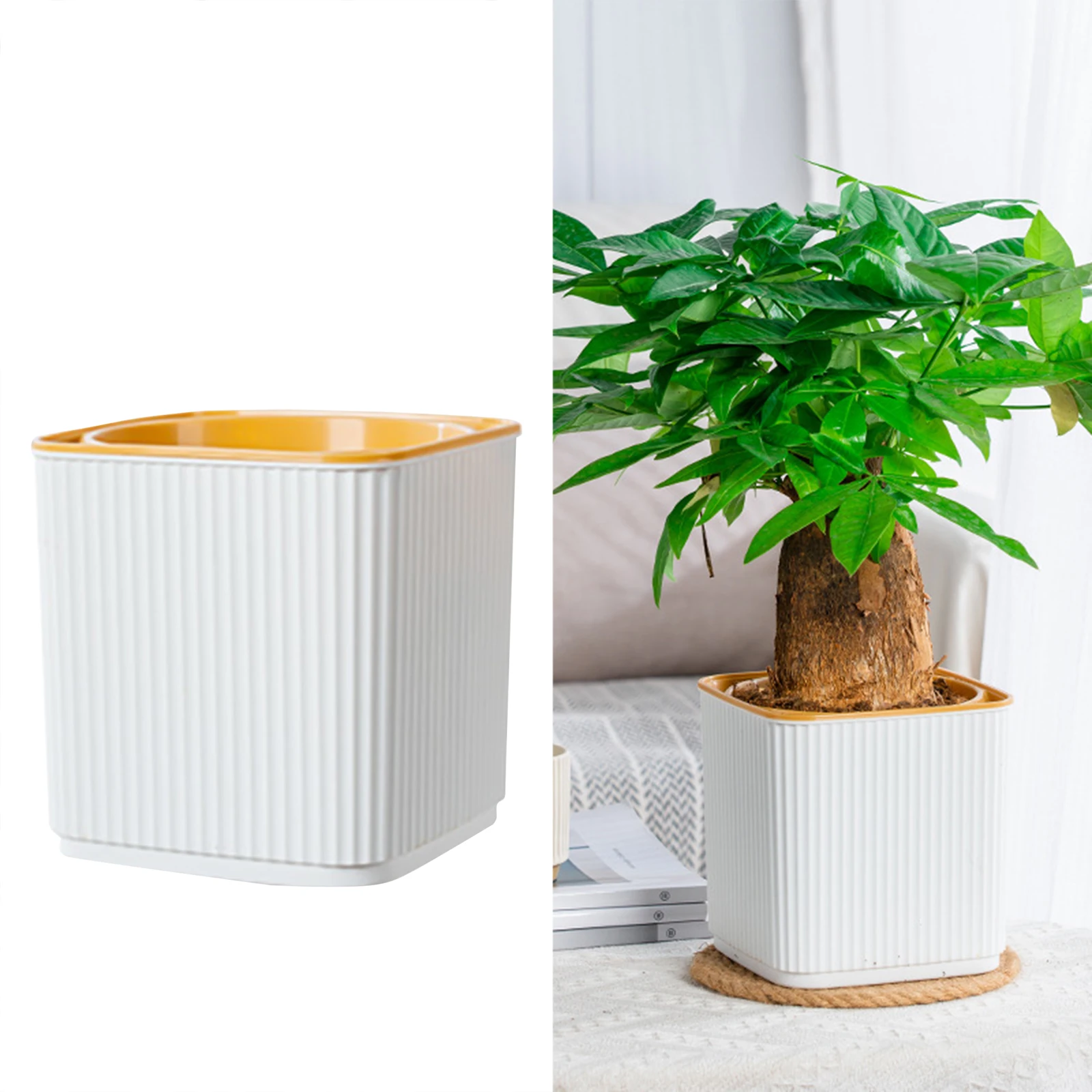 أصيص زهور مائي ذاتي الامتصاص ، - مراجعة Aloe Vera Pot وسعره