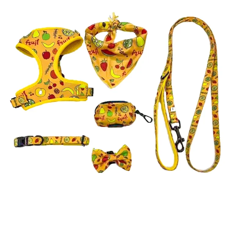 

Pet Harness Custom Dog Harness Set Vest Pet Collar Dog Collar And Leash Set Dog Accessories