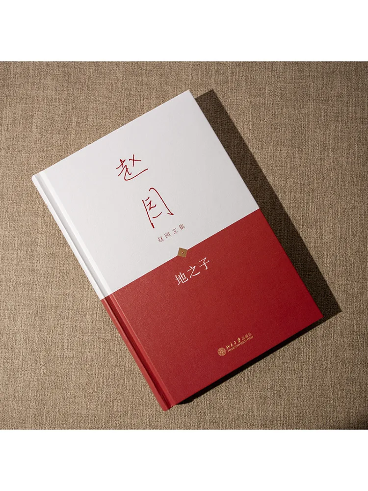 Livro-Winshare Filho da Terra