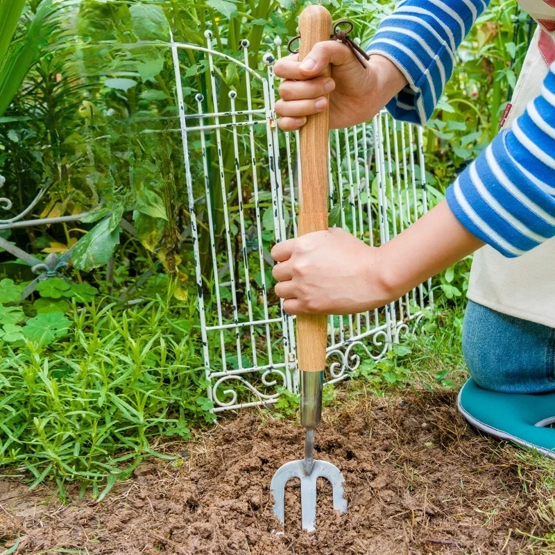 Gardening Forest Outdoor Flower Planting Tools Excavating Loosening Soil Transplanting Stainless Steel Forks