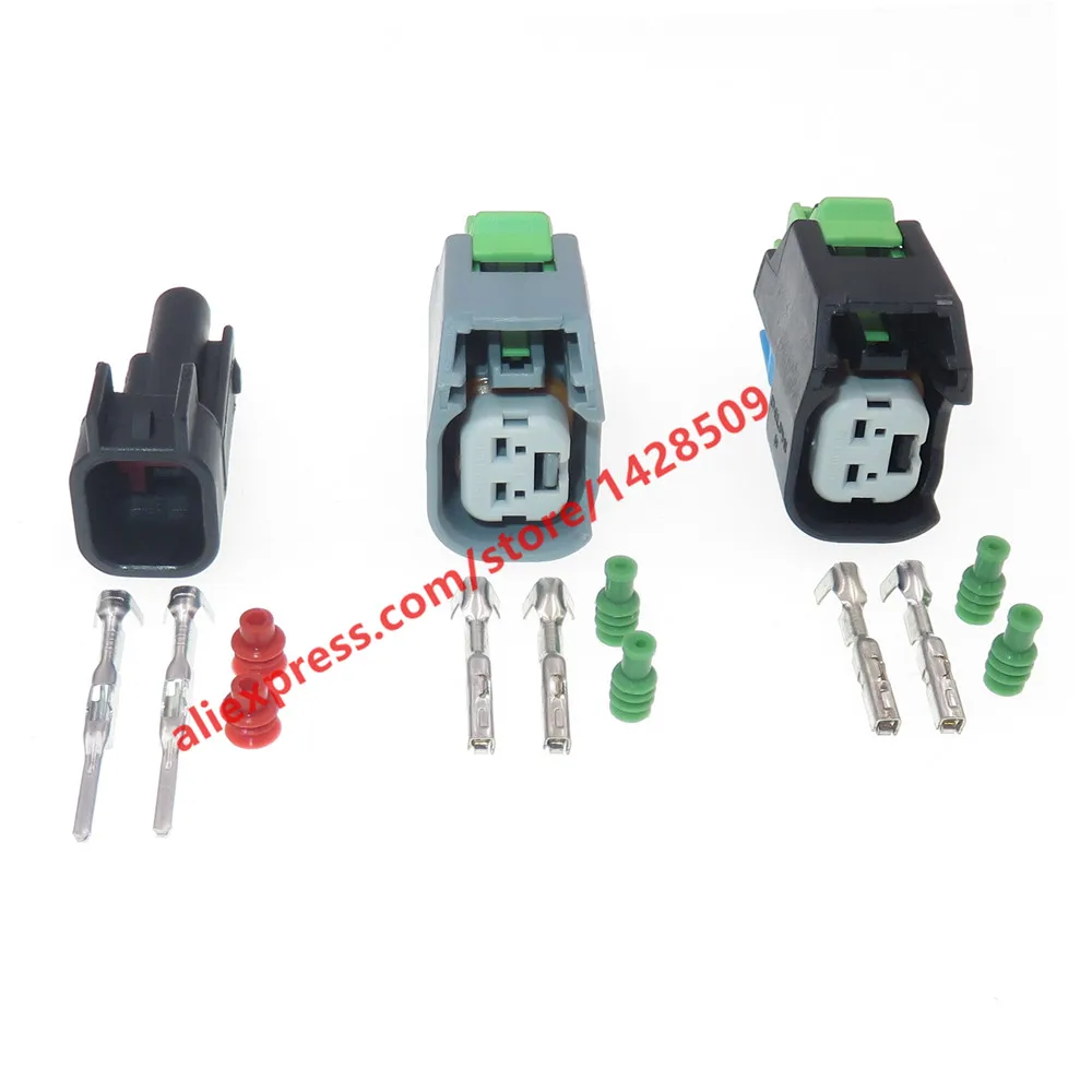 1 Set 2 Pin Delphi …