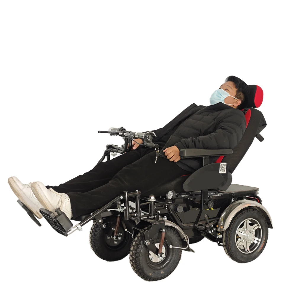 Competitive Price 350W Power Trailer Electric Handcar with Lead Acid Battery Disable Drive Conversion Kit