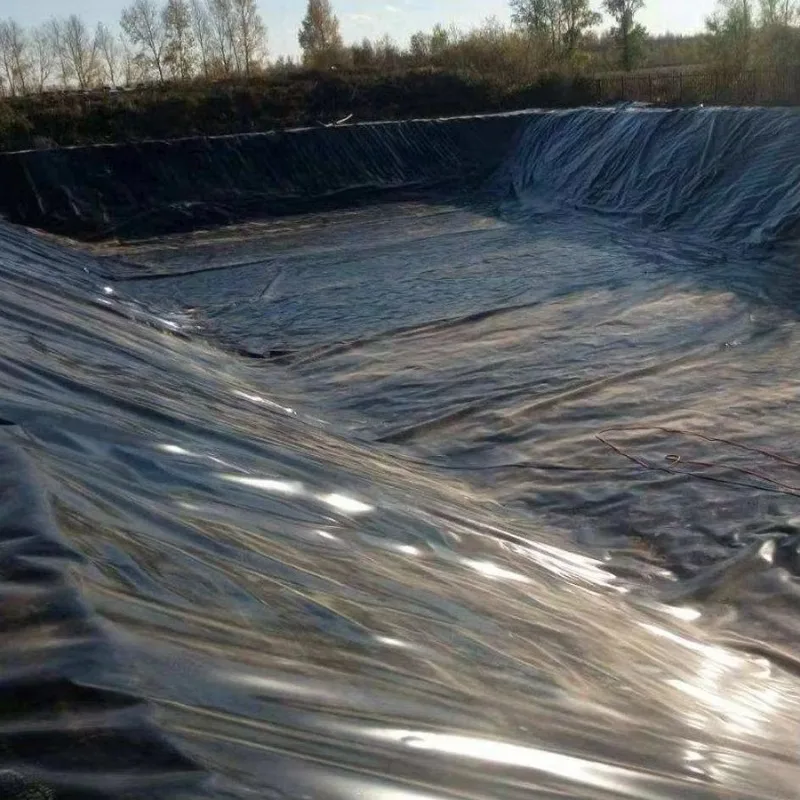 Smooth Surface HDPE Geomembrane Liner Customized for Fish Farm Reservoir Landfill Mining and Biogas Projects Worldwide