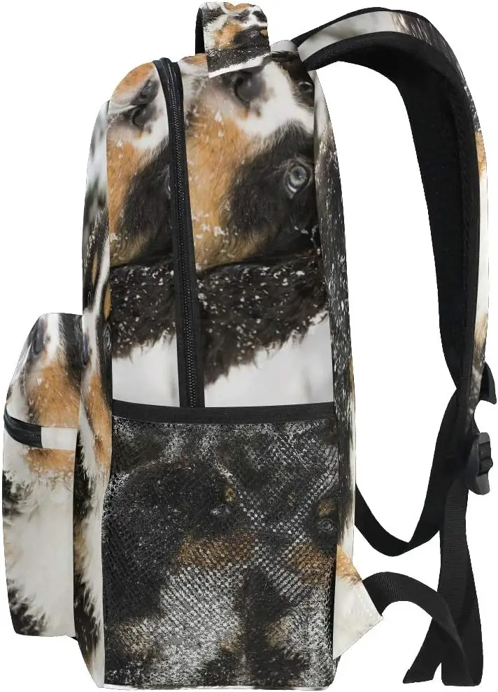 Schule College Rucksack Rucksack Reise Büchertasche Outdoor Berner Sennenhund