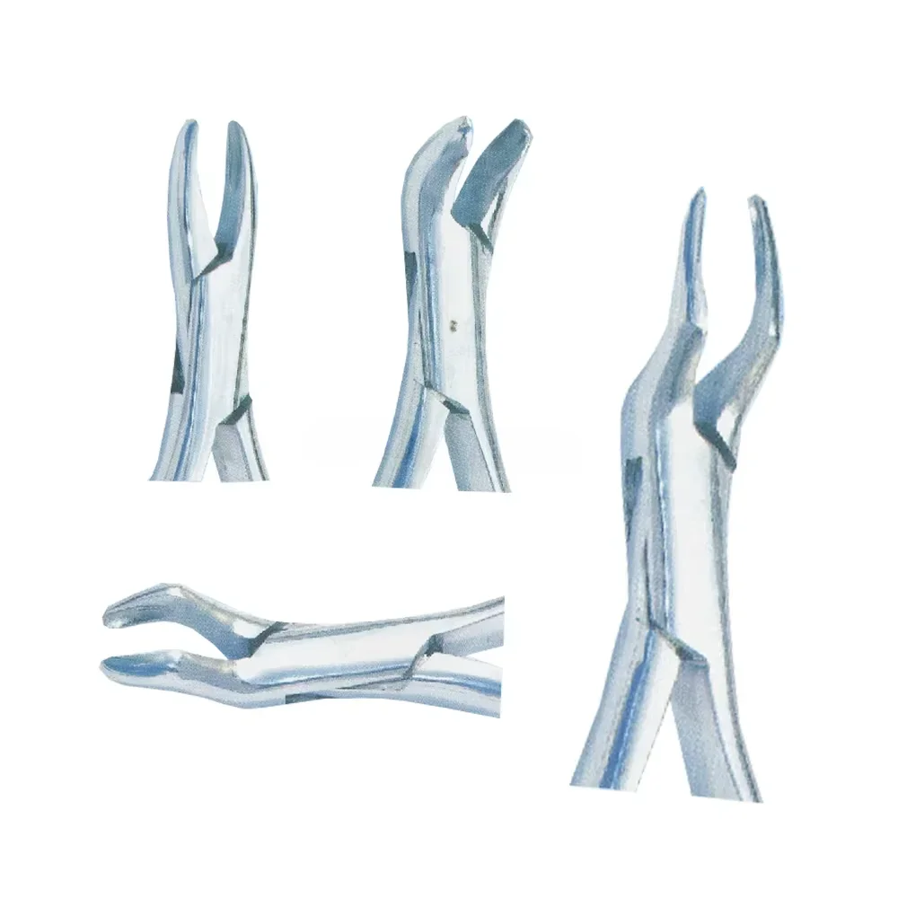 Surgical Instrument Stainless Steel Dental Extracting Forceps