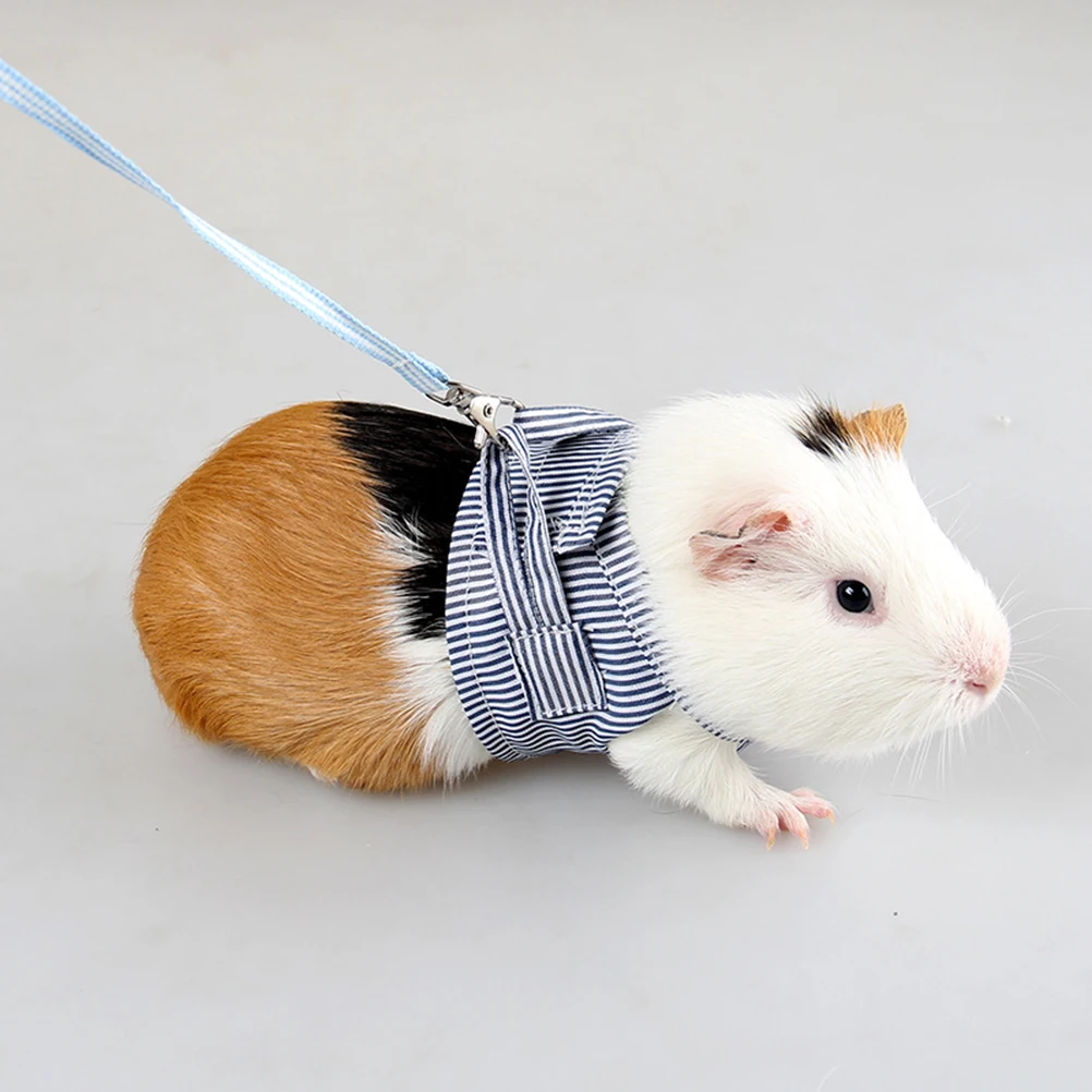 

Small Animal Harness Pet Traction Rope Supplies Strap Hedgehog Chest Blue Guinea Pig Leads Lightweight Breathable Cotton