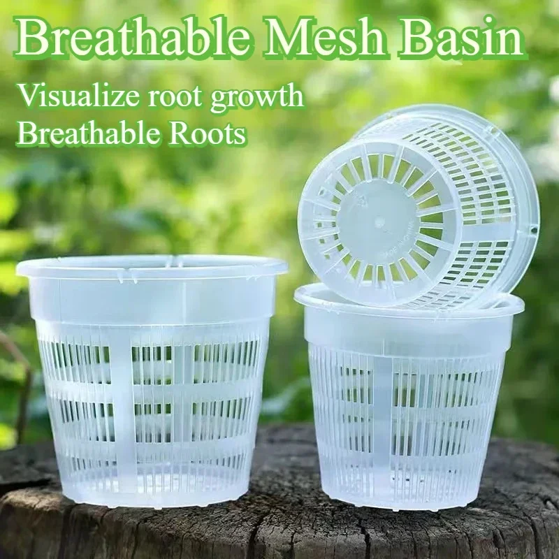 

Multi-size Mesh Tray New Green Plant Pot Phalaenopsis Orchid Root Control Simple Flower Transparent Breathable Growing Container